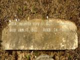 image of grave number 58599